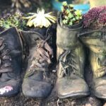 Staré punčochy namísto květináčů: jak na to zeptají se zahradáři