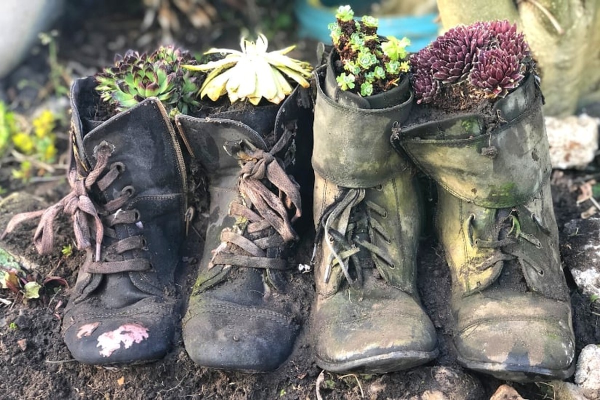 Staré punčochy namísto květináčů: jak na to zeptají se zahradáři
