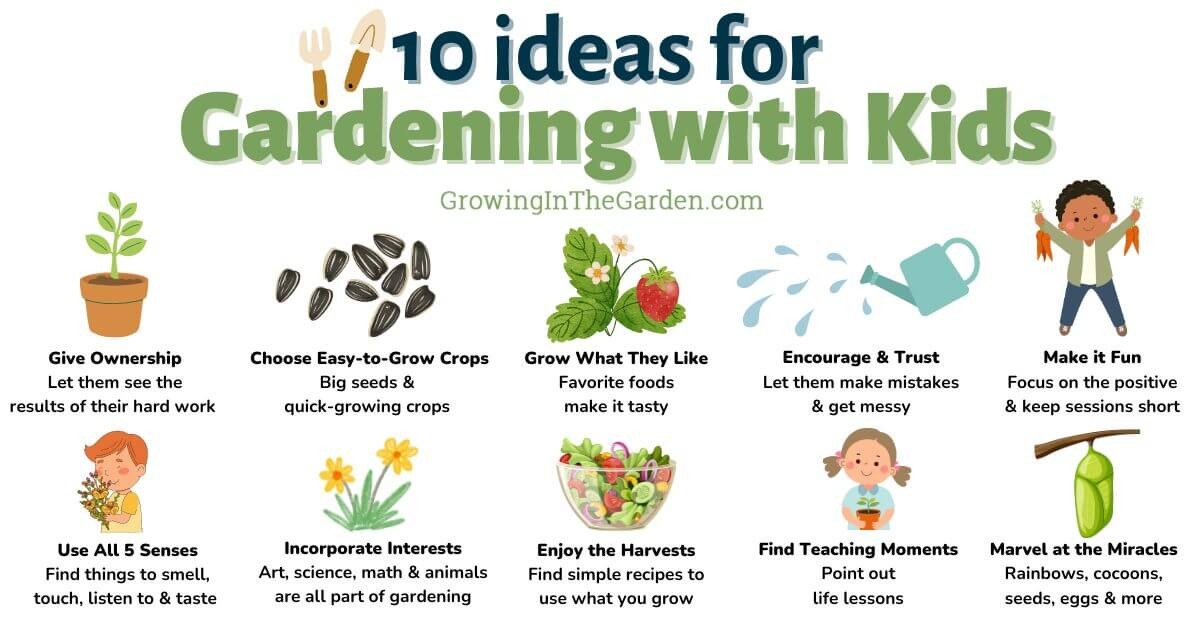 Staří zahradníci reveals: proč je nejvhodnější sázet kořeny vždy směrem dolů - image 1