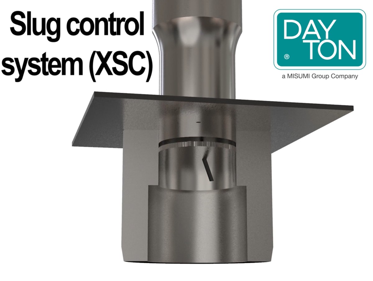 Sůl na záhonu proti slimákům: věda za babičkiným tajemstvím - image 2