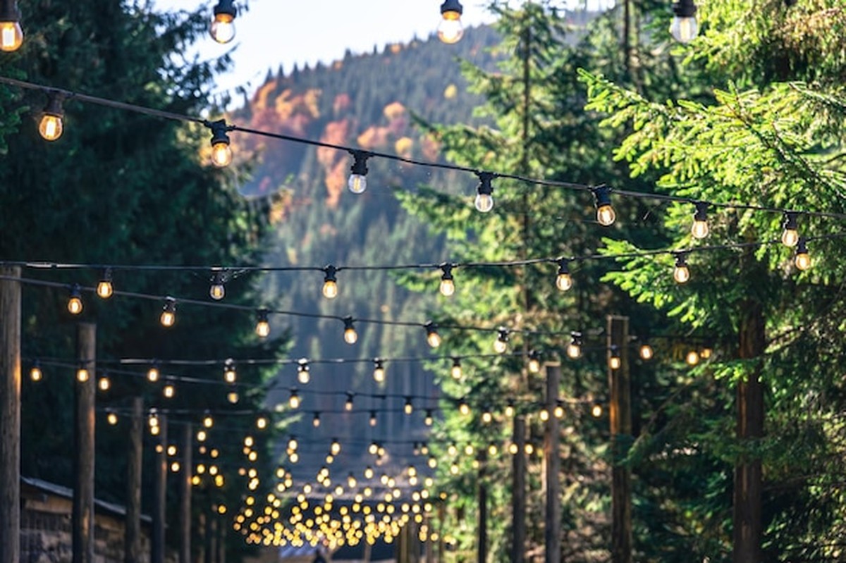 Světlice nebo LED? Zahradníci v Česku si zvolili - image 2