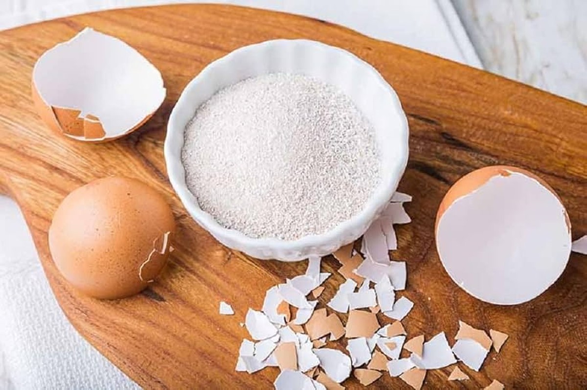 Vaječné skořápky do kompostu – jeden trik které si neuvědomujete - image 2