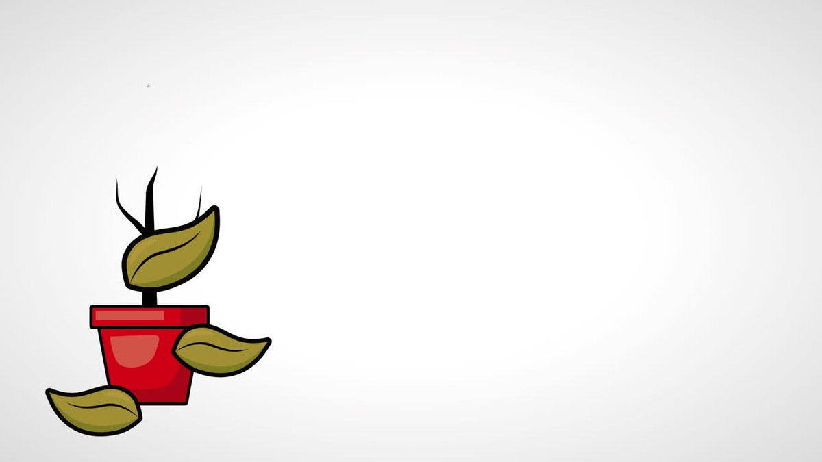 Vaše květiny vadnou? Zjistěte nejčastější chybu při zalévání pokojových rostlin