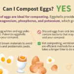 Vejce v kompostu zrychluje rozpad o polovinu. Žádné odpadky, jen zdravá půda