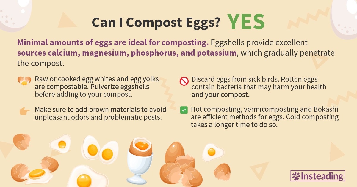 Vejce v kompostu: způsob, jak předejít nejčastější zahradnické chybě - image 1