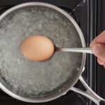 Vejce v květináči funguje jako přirozené hnojivo na měsíc