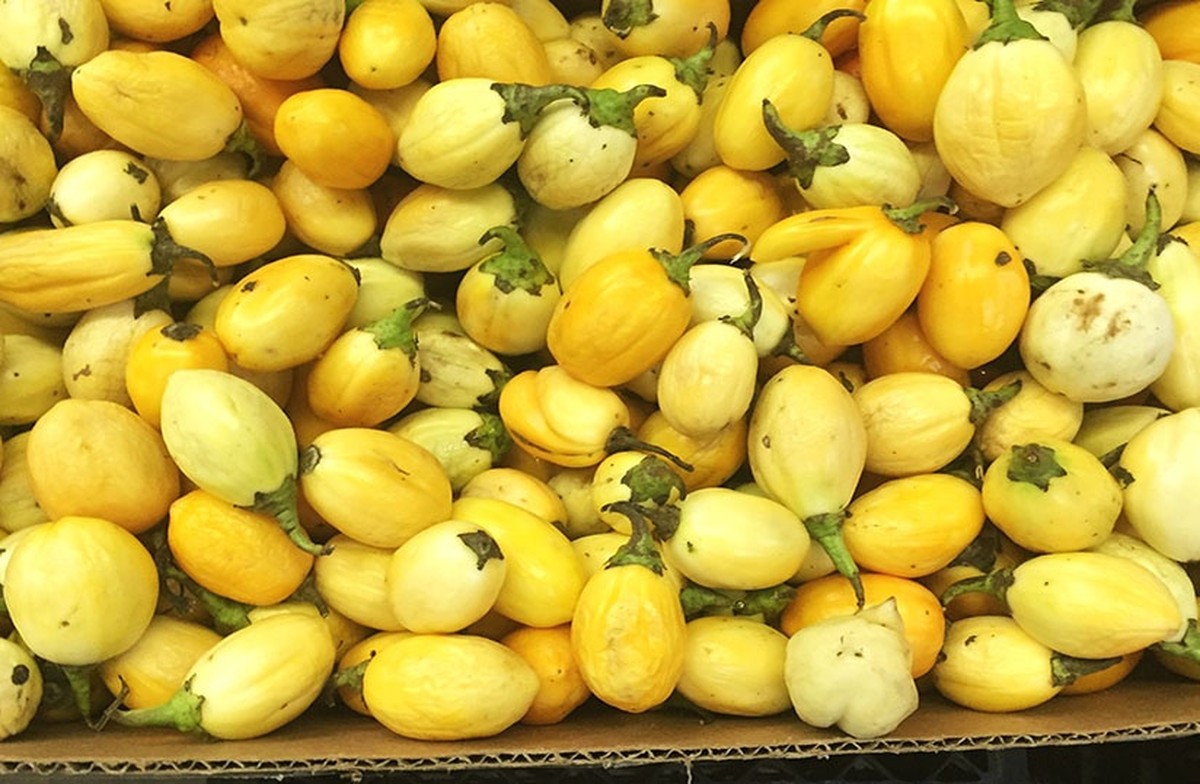 Vejce v květinové záhradě: proč ho sázíte jako fertilizér - image 1