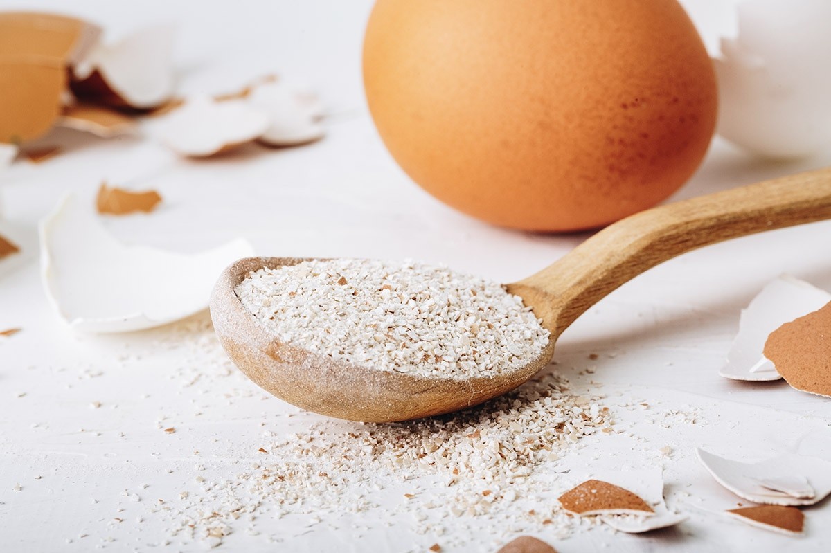 Vejcové skořápky rozdrcené do záhonu: proč je to chemie, která vám šetří tisíce - image 2