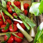 Vložte bobkový list do pytlíku s rajčaty: starobylý trik proti škůdcům v zahradě