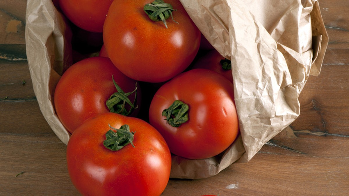 Vložte bobkový list do pytlíku s rajčaty: starobylý trik proti škůdcům v zahradě - image 2