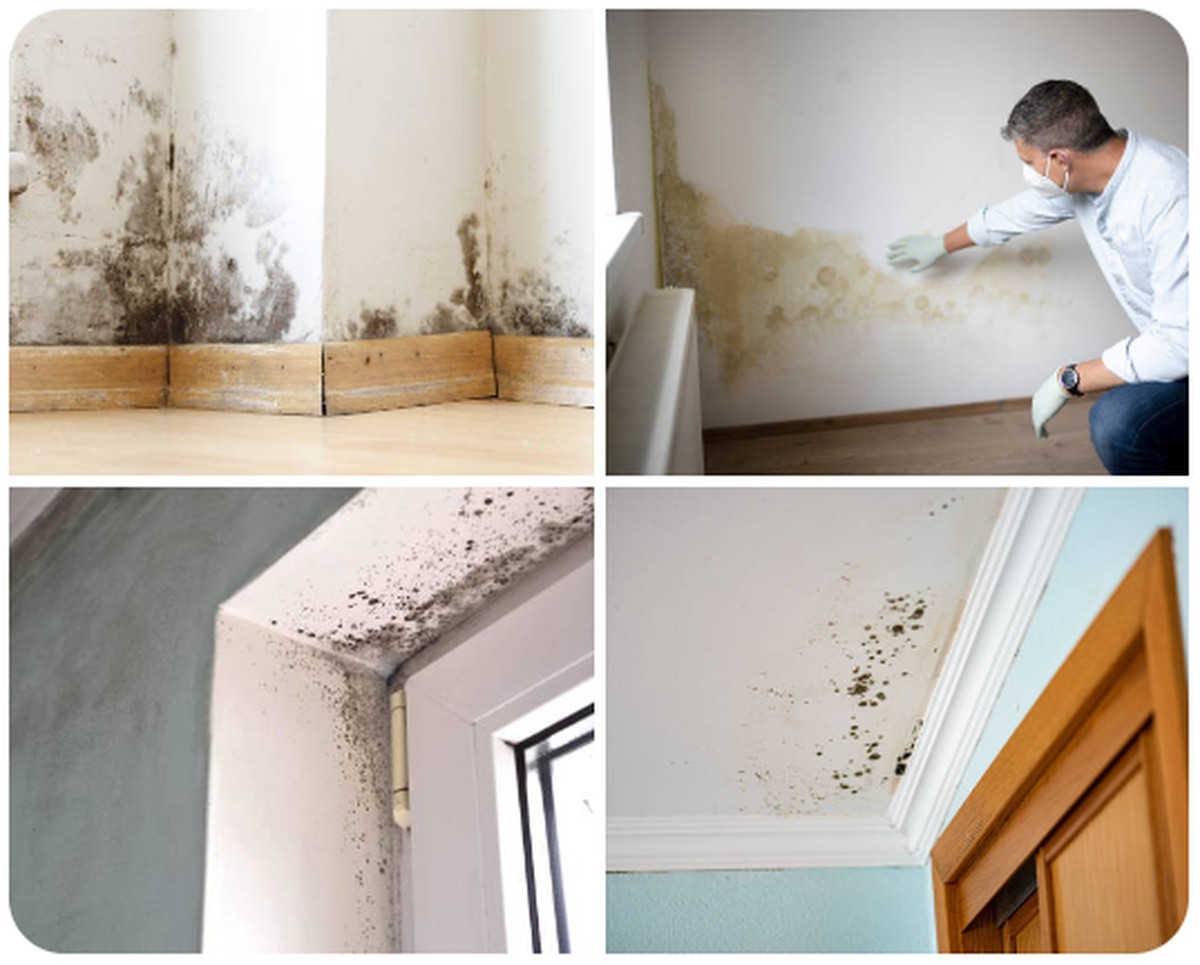 Za 50 korun jsem vyřešila plíseň v přízemi: tenhle trik funguje přes noc