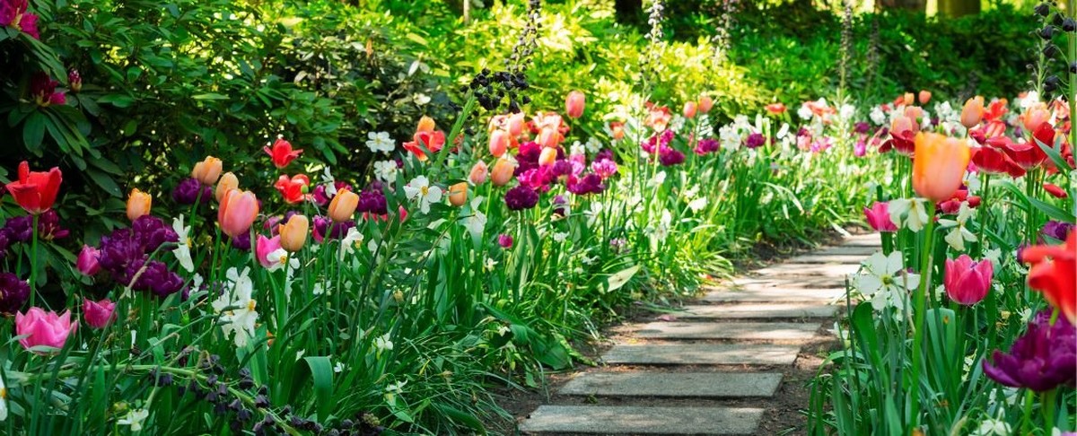 Zahrádkáři se teď fackují: tento trik zabránil jejich úrodě v únoru - image 1