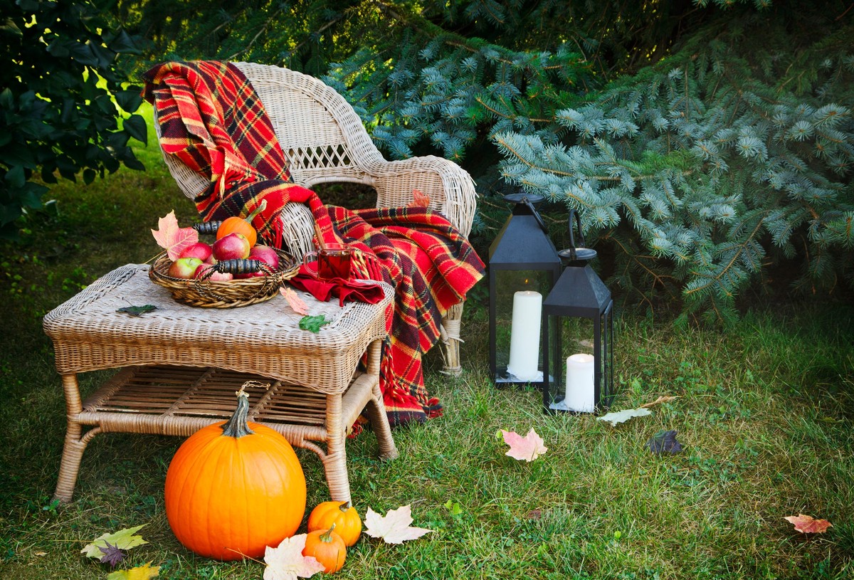 Zahradníci trvají: nikdy netlumte tyto rostliny před zimou - image 2
