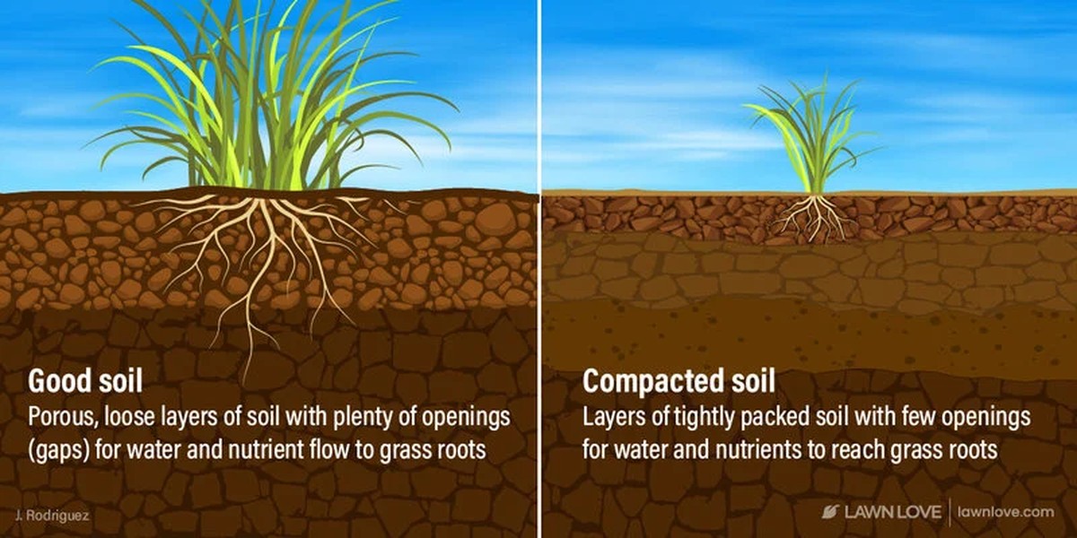 Zahradníci tvrdí: nikdy nekypřte půdu po lijáku - image 2