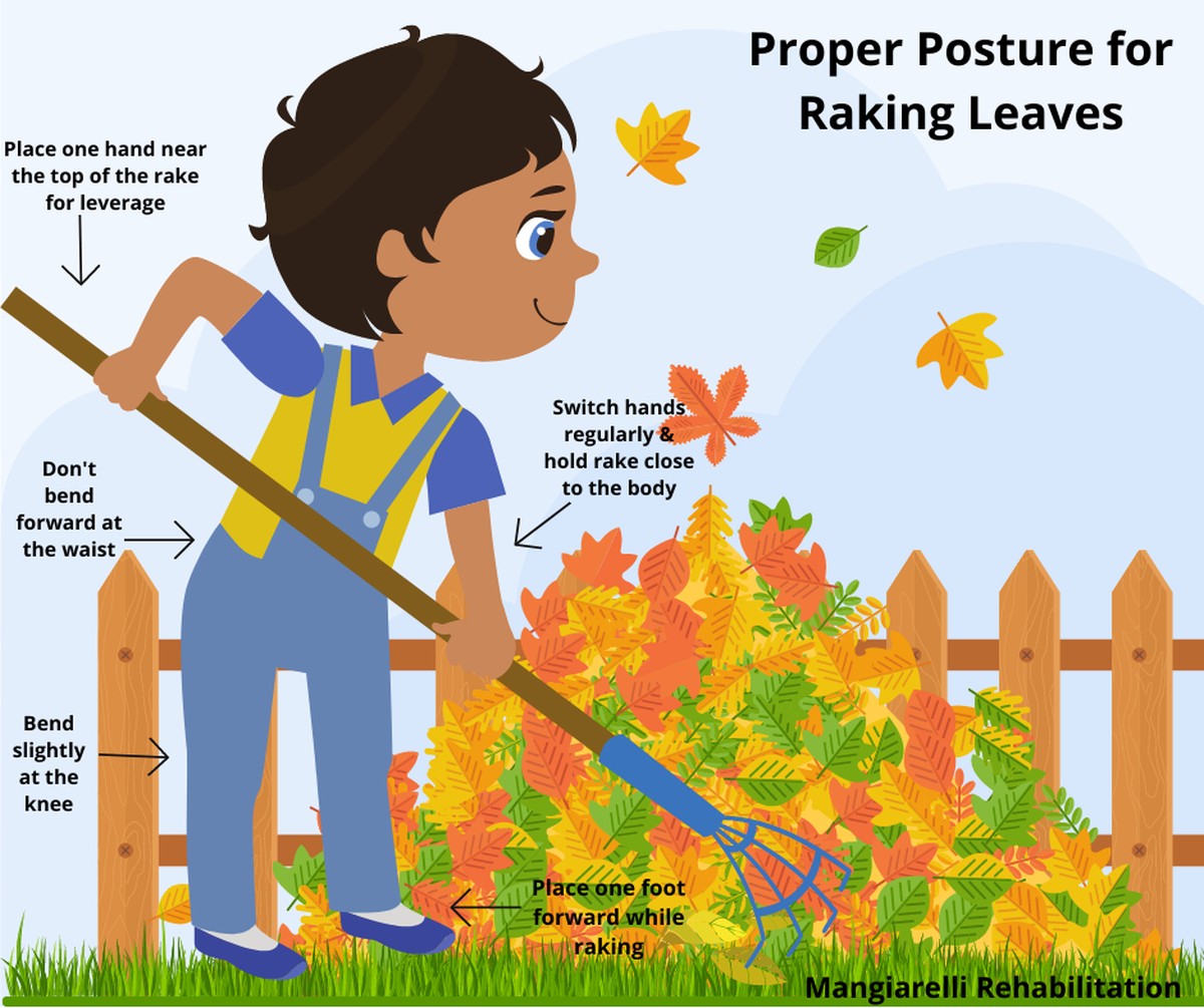 Zahradníci vám to nepoví: kdy přesně srážet listy ze stromů - image 1