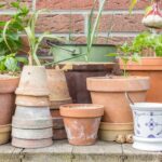 Zahradníci varují: nikdy neutrácejte peníze na tyto dvě věci najednou