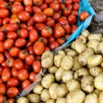 Zahradníci varují: nikdy nezasazujte rajčata vedle brambor – věděli byste proč?