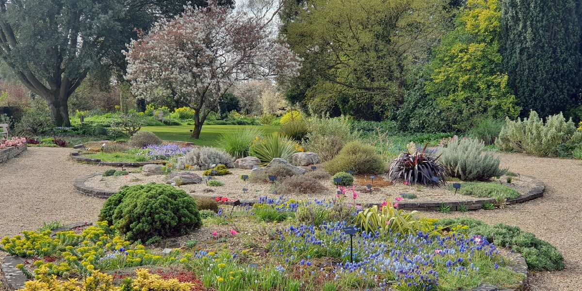 Zahradníci z Česka vás prosí: nikdy nezavlévejte v těchto hodinách - image 2