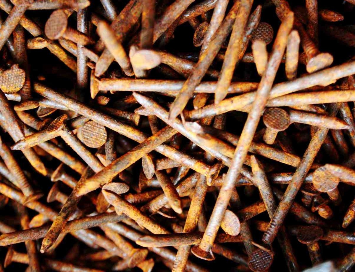 Železo v půdě? Staré hřebíky jsou levnější než přípravky