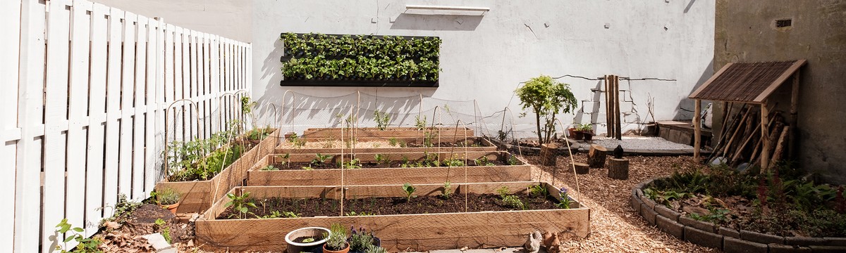 Банановая кожура v půdě: chemie kterou využívají v Amsterdamu už dvacet let - image 1