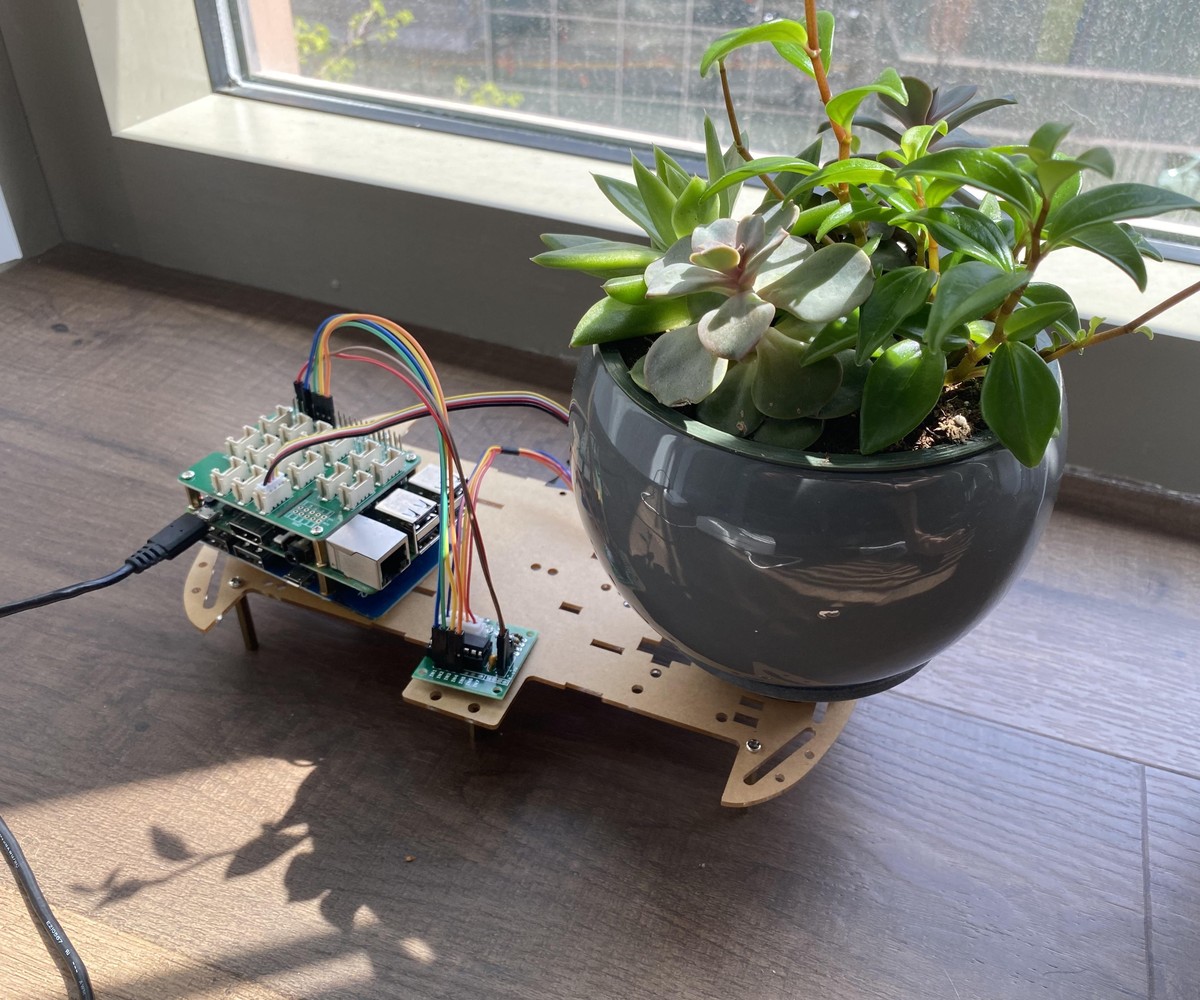 Co kvetináři nemluví: Proč je třeba rostliny otáčet každý týden