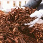 Co si zahradnický mistr přeje, abyste věděli o mulčování půdy