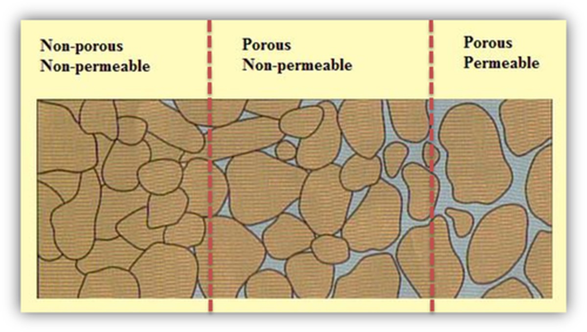 Co vám botanikas nikdy neřekne o pórovitosti půdy
