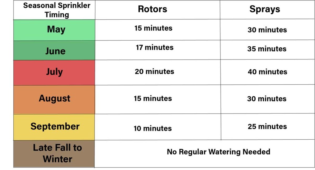 Co vám řekne zkušený pěstitel o správném zalévání v srpnu - image 2