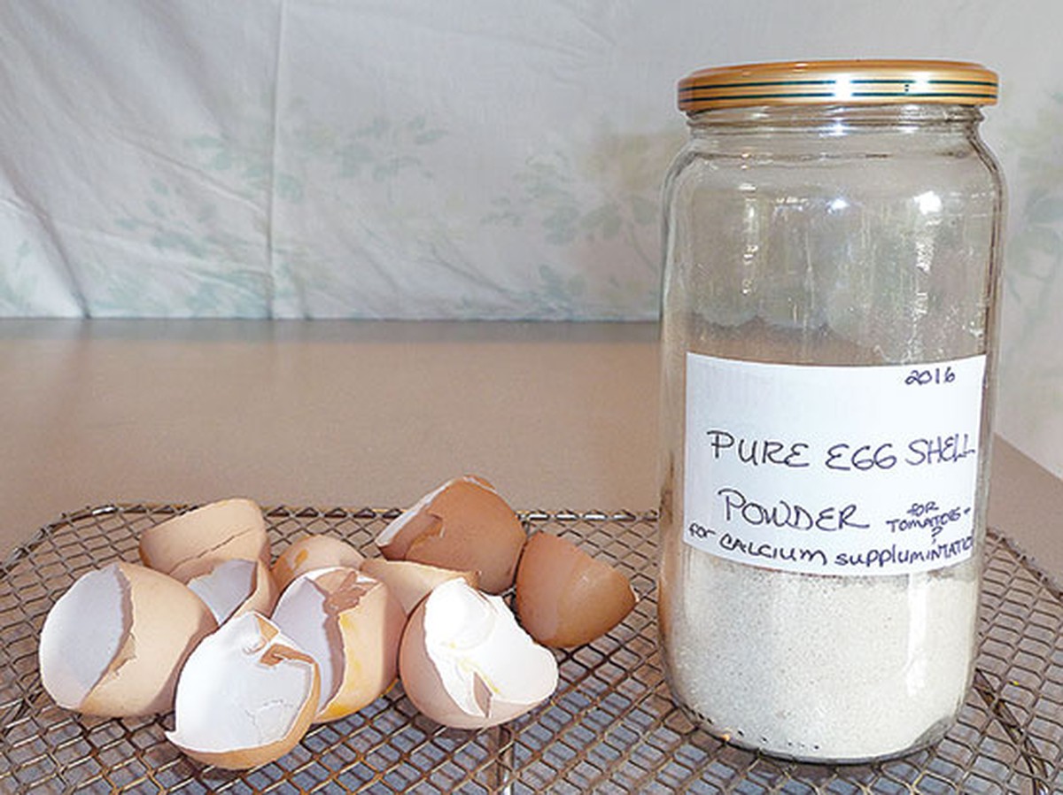 Drcená skořápka od vajec do půdy: proč to bioložka doporučuje