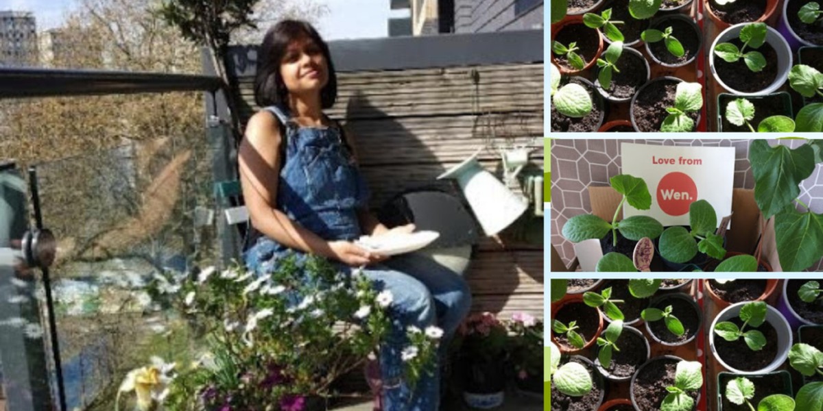 Kafemolka na osivo: geniální úspora místa v truhlíku - image 1