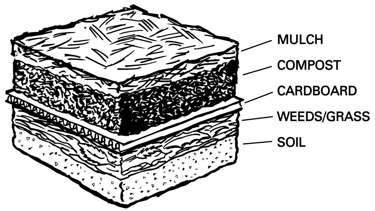 Kartónové krabice pod mulč: levný trik proti plevelům, který funguje měsíce - image 2