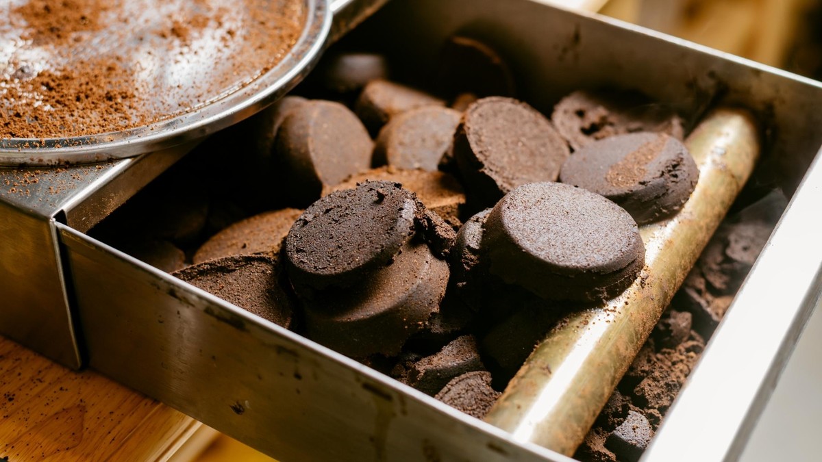 Kávová sedlina v záhradě? Jak ji využít proti slimákům a nenávistem - image 1