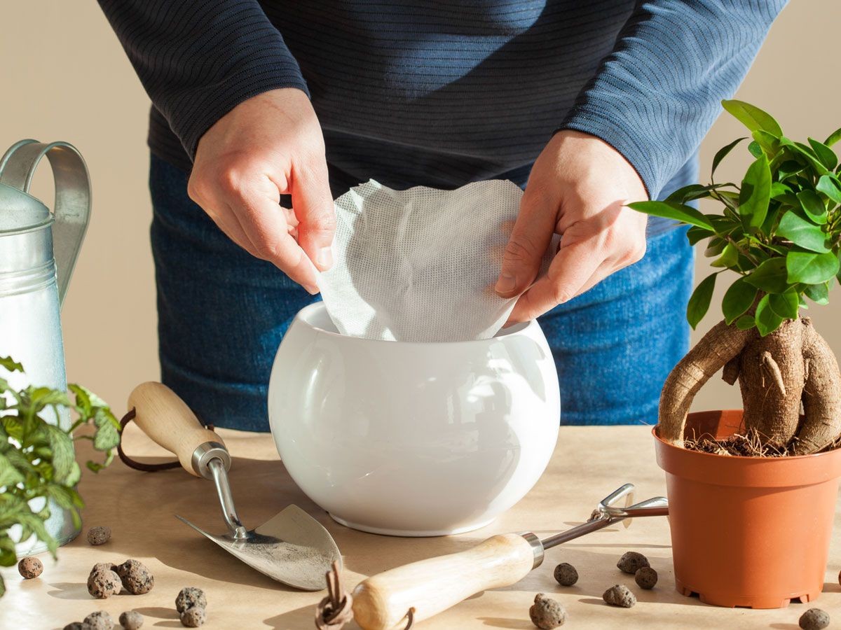 Kávový filtr jako záhradní pomocník: Trik, který si садовники schovávají