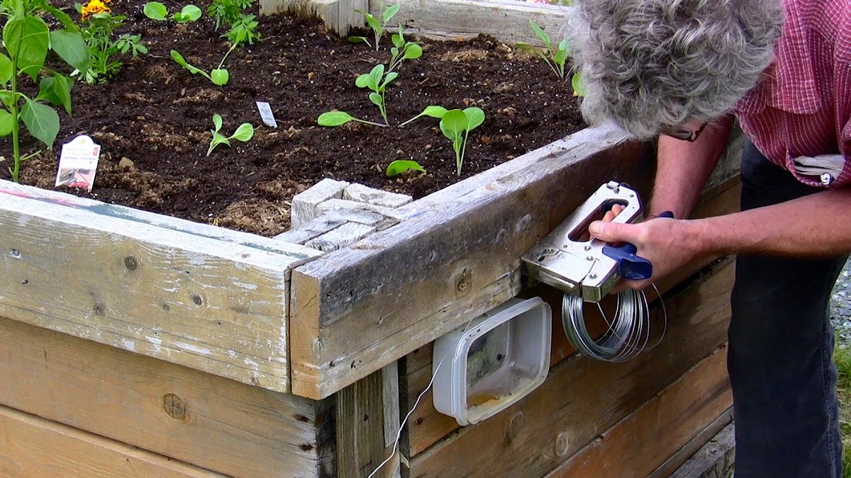 Kávový filtr v zahradě? Finální trik proti slimákům bez chemie - image 1