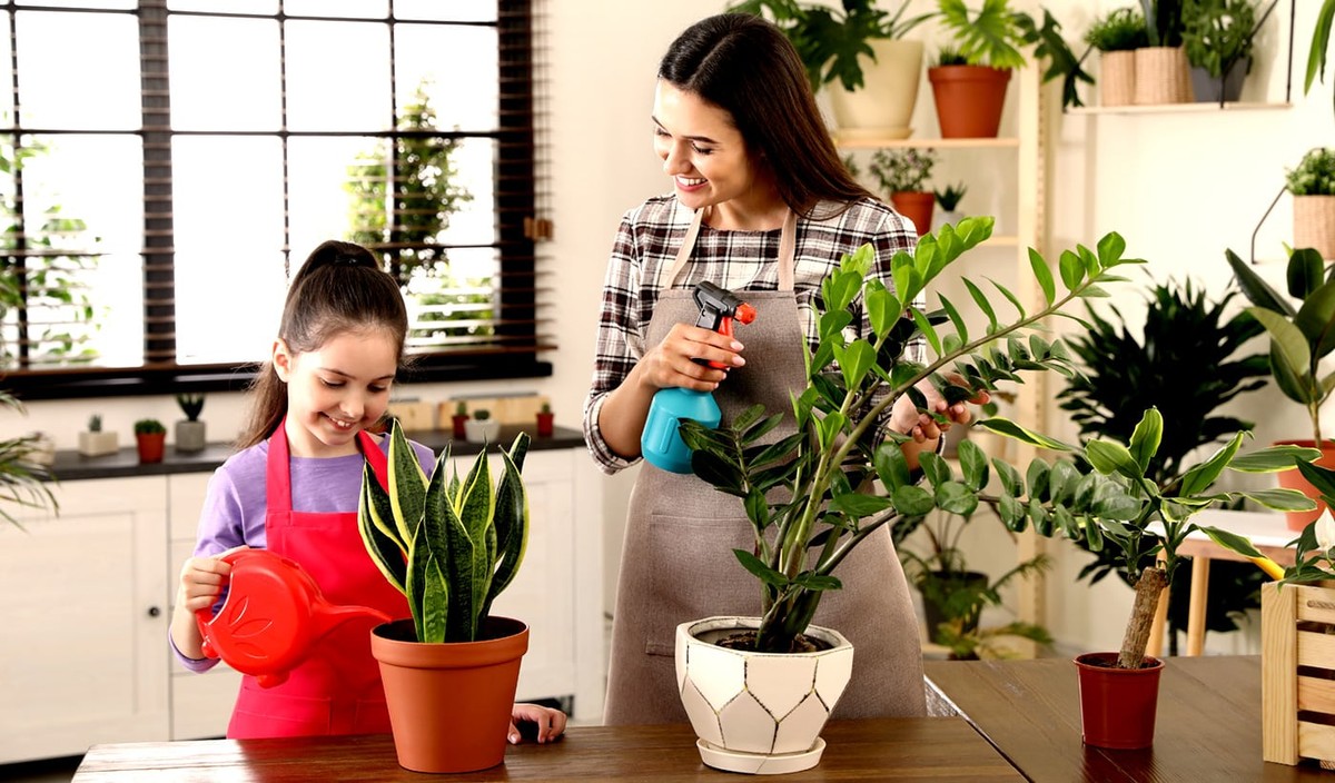 Květináři varují: tuto chybu při zalévání dělá 90% lidí - image 1