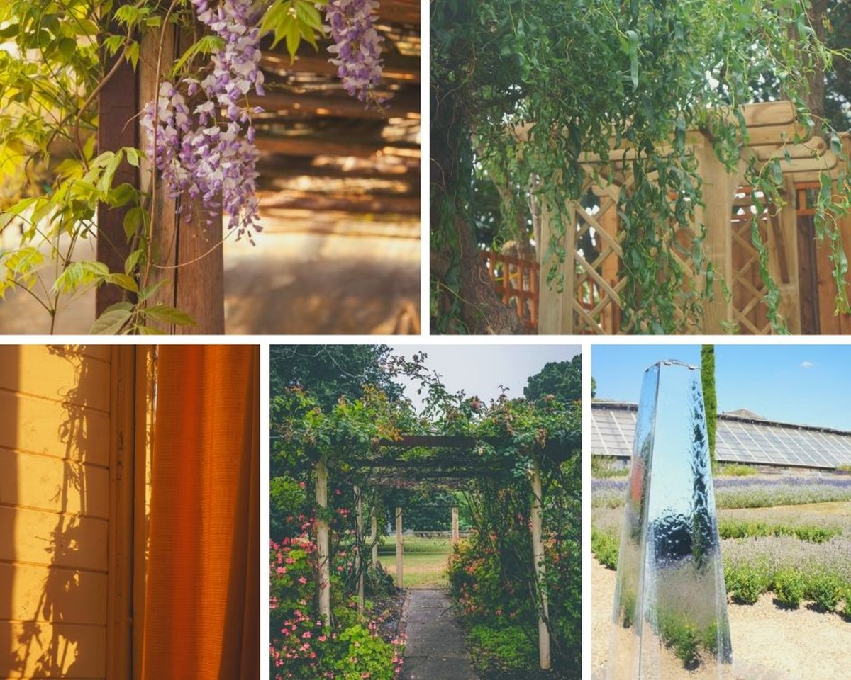 Ledová voda v PET lahvi změní váš záhon v jih Francie - image 2