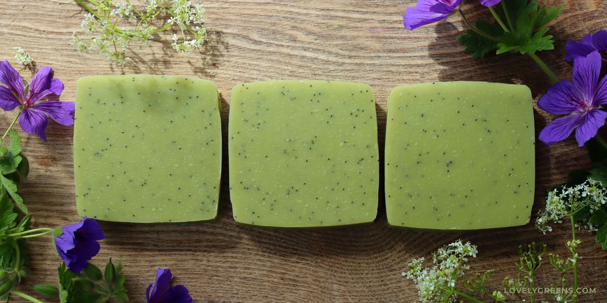 Mýdlo na větve: Přírodní past, kterou se zahradníci nechtějí dělit - image 1