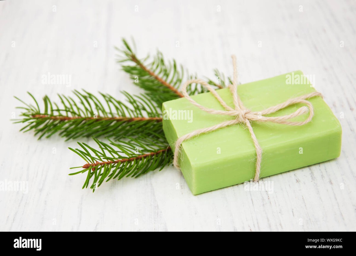 Mýdlo na větve: Přírodní past, kterou se zahradníci nechtějí dělit - image 2