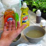 Mýdlová voda místo pesticidů: jednoduchá směs, která zničí škůdce