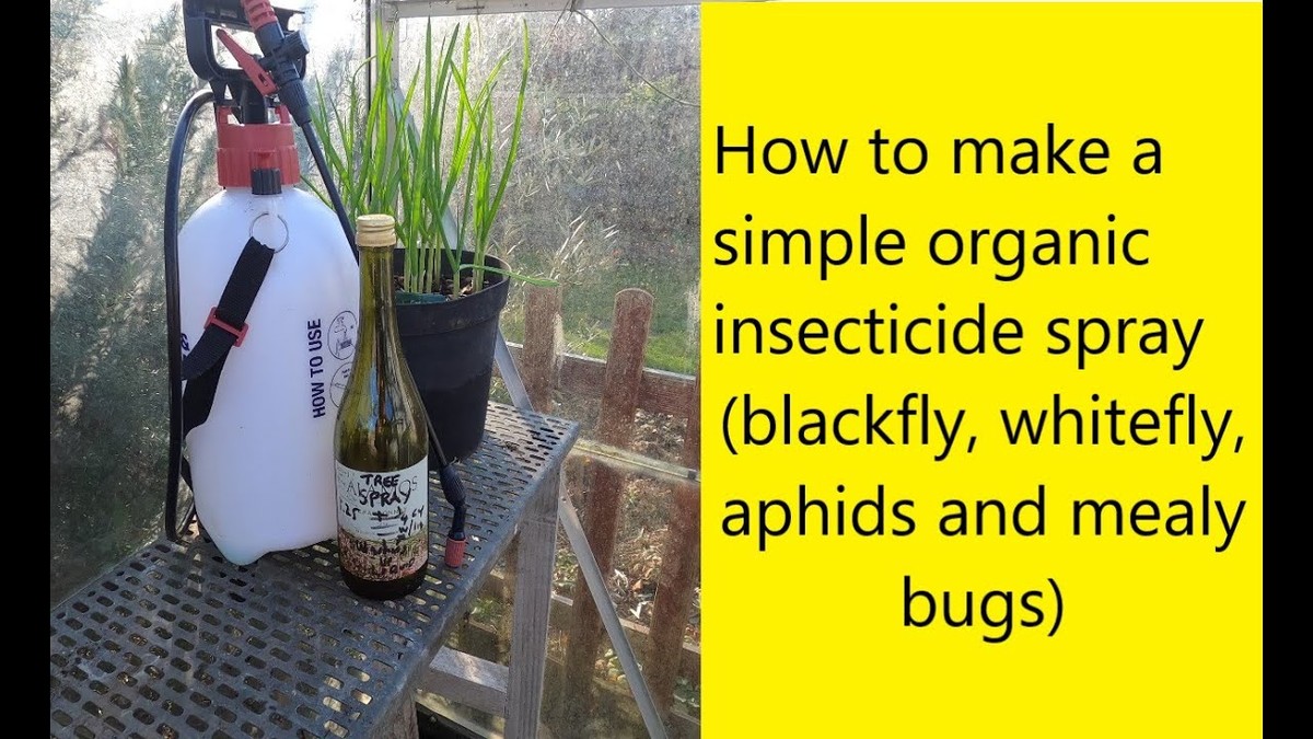 Mýdlová voda na postřik: jak staří zahradníci se vyhnuli drahým insekticidům - image 1