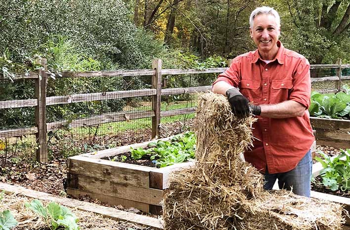 Noviny pod mulčem? Proč zahrádkáři skrývají tento trik - image 2