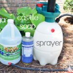 Ocet jako zázrak: jak se zbavit plevelů bez jedovatých chemikálií