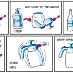 Ocet na listy: jednoduché řešení proti mšicím bez chemie