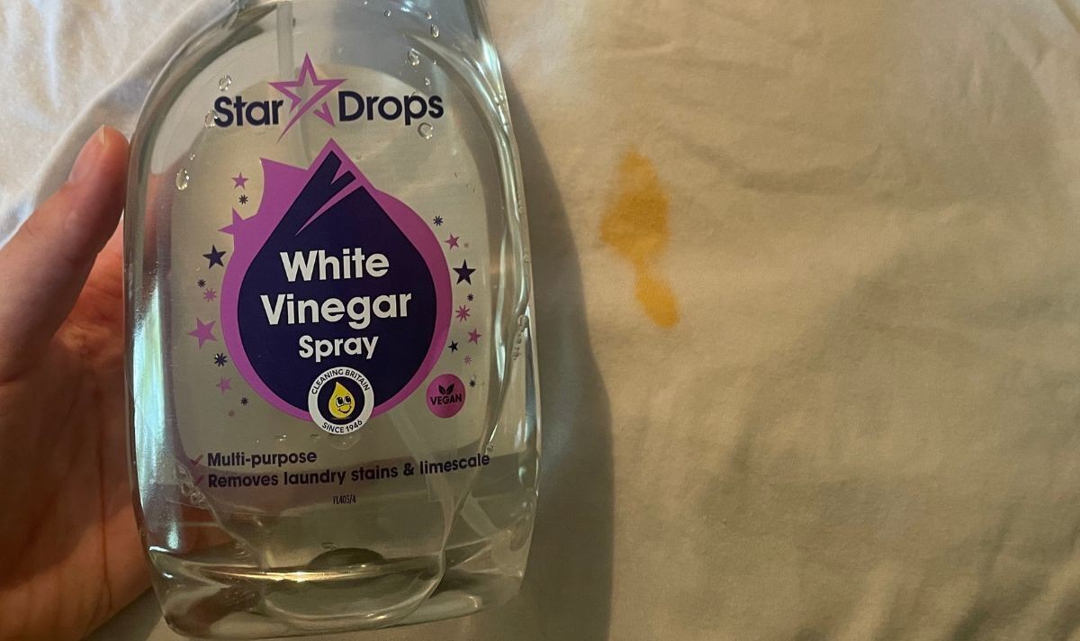 Ocet na listy rajčat: Jednoduchý trik proti plísni, který ví jen zkušení zahradníci