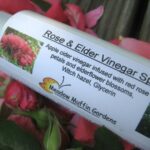 Ocet v Rose proti padlí: chemikálie, která nestojí ani korunu