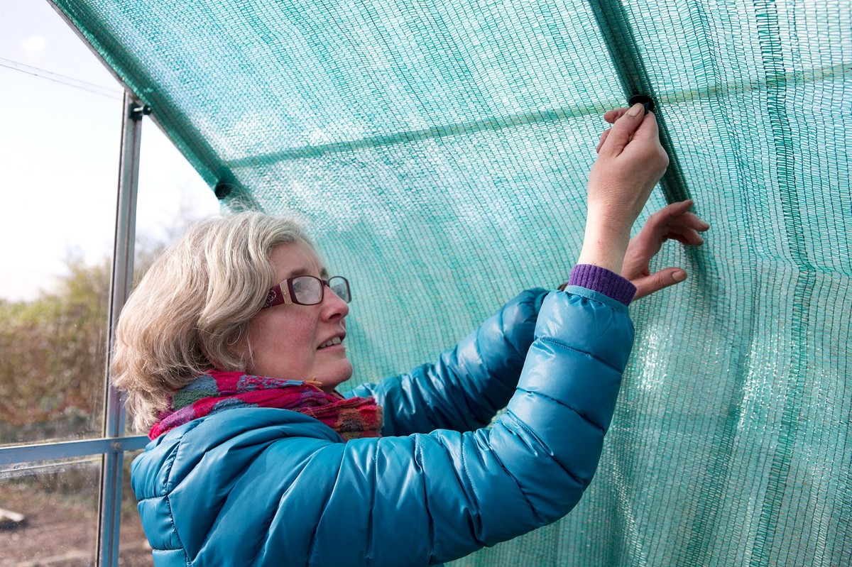 Papírová páska na oknech skleníku snižuje teplotu o 5 stupňů zdarma - image 2