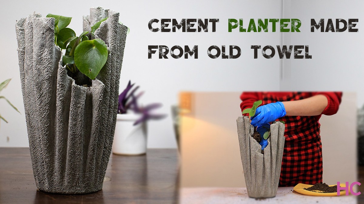 Papírová utěrka v květináči? Trik, který vám ušetří litry při zalévání - image 1