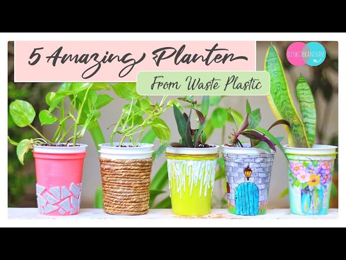 Papírové kelímky jako semináře: jak ušetřit na květináčích a chránit rostliny - image 1