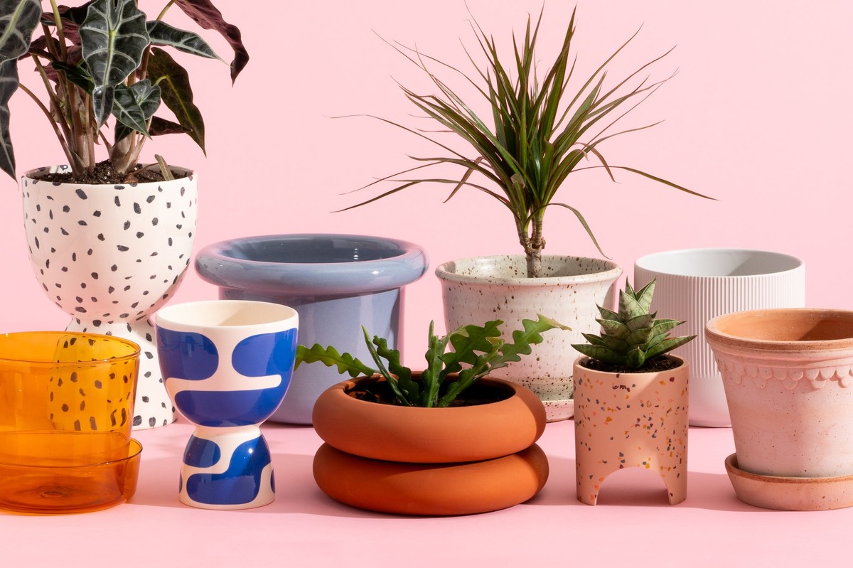 Papírové kelímky jako semináře: jak ušetřit na květináčích a chránit rostliny - image 2