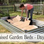 Papírové krabice na záhonu? Proč to zavádějí skleníkáři místo mulče